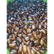 Buah Perah / Buah Kelampai (mentah) buah rare