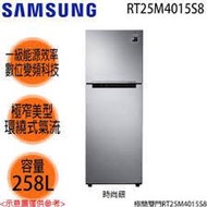 SAMSUNG三星 RT25M4015S8  258L 全新極簡雙門冰箱 一級能效