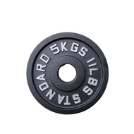 2.5KG 5KG 10KG 15KG 5.5LB 11LB 22lb 33LB Cast Iron Plate Set Olympic Weight Dumbbell Barbell Steel P