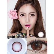 【ready stock & give gifts】2pcs  colour Contact lens Yearly use gold choco   degrees0.00-8.00  14.2mm