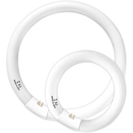 FC12T9/WW 32 Watt and FC8T9/KB 22W Set, 8 inch T9 22W and 12'' 32W Circular Fluorescent Light Bulbs 