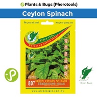 Green Eagle Seeds 807 Green Ceylon Spinach (Benih Tembayung Hijau) (Plants and Bugs) (Pherotools See