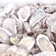 [TASTY FROZEN] Half Shell Oyster Big 半壳生蚝 12pcs