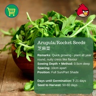Arugula Seed 芝麻菜 (0.7g | 2g | 6.5g)