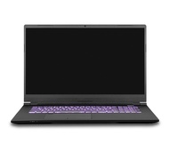 Clevo PC70DF1 Gaming & Business Laptop (Intel i7-10875H 8-Core, 16GB RAM, 256GB PCIe SSD, RTX 2070 (