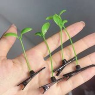 Green Bean Sprout Shaped Hair Clip, Grass Head Hair Clip, Cute Broken Hair Top Clip, Funny Grass Ant