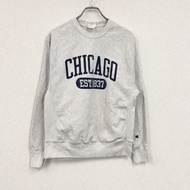 Champion Reverse Weave 運動衫/運動鞋，膠囊印花款，當季新款，淺灰色，M 碼，古著