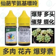 26ML  6-BA Cytokinin 仙葩 爆芽素 苄氨基嘌呤   优芽素  优芽素 植物生长调节剂 多肉花卉 催花促花 促芽 肉肉爆头 细胞分裂素药
