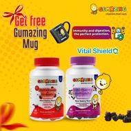 Gumazing Kids Vital shield Combo Pack: Multivitamin + Probiotic & Elderberry Immunity