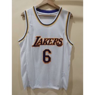 Embroidery Los Angeles Lakers #6 Lebron James Jersey Basketball Jersey