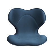 【日本Style】SMART美姿調整椅-輕奢款-藍色_廠商直送