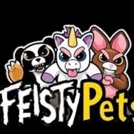 Feisty pet funny face changing soft toys preloved