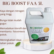 5L Baja Organik Cecair Ikan Sidat MOL Asid Amino FAA BioBoost