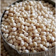 Ulundu / Ulunthu Paruppu / Kacang Ulundu / Urad Dhal / Uluntham Paruppu 100% Pure and Natural Murah 