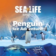 {E-Ticket} บัตรซีไลฟ์ พารากอน Sea Life Ocean World Bangkok Sealife ซีไลฟ์