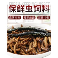 Fresh Insect Silver Arowana Special Scleropages Feed Mealworm Tenebrio Molitor Barley Insect Centipede Parrot Fish Feed