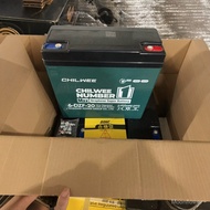 Super Powerful（CHILWEE）6-DZF-20 12v20ah Street Stall Lighting Cotton Candy Machine Oven UPS Power Su