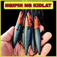 ➽ ➶ ◭ Ngipin ng Kidlat Amulet