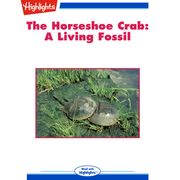 Horseshoe Crab, The George W. Frame