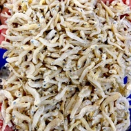 Ikan Bilis mata biru halus (gred A)