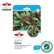 1500Biji Benih Daun Selasih Mikro /Daun Basil Thai /Daun Kemangi /Daun Selasih Kecil/East West Seed/