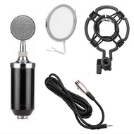 BM8000 Microphone set (No stand)