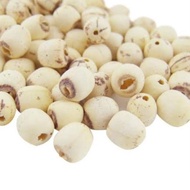 Ω Medium Size Lotus Seeds/Lian zi 500gr