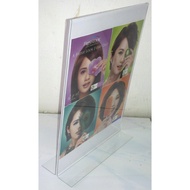 A4 Vertical Size T Shape Acrylic Brochure Stand Type A, 2.0mm