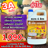 3A “จัมโบ้” ฉีดพ่นทางใบ สำหรับ “ลำไย” ลดการใช้ปุ๋ยเคมี พืชสมบูรณ์ ก้านช่อยาว โตไว ผลอวบ น้ำหนักดี