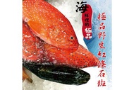 野生紅條石斑魚 300g±10%