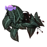 ROCKWAIN11 Fish Tank Plants, 25CM Tall Green Artificial Water Plants, Artificial Plastic Habitat Dec