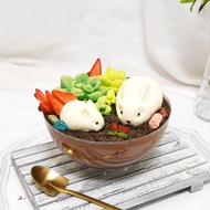 Mali Factory | Potted succulents mousse cake | Earl grey tea mochi grains mousse cake | Basque Chees