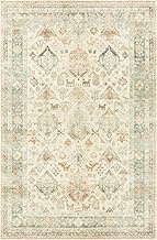 Loloi ll Rosette ROS-01 Beige/Multi Oriental Area Rug 2'-2" x 3'-8"
