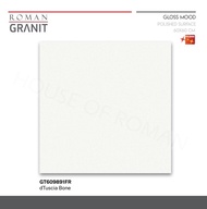TERHEMAT ROMAN GRANIT 60X60 GT609891FR DTUSCIA BONE