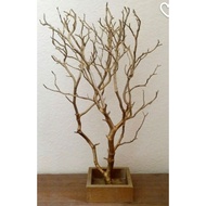 Decorative Tree Rantin | Branch Tree Branches | Natural Decorative Branches 100cm - 200cm