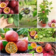 Ready Stock 50pcs Rare Delicious Passion Fruit Seeds Fruit Seeds Fruit  Tree Seeds Plants for Sale T