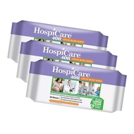 [Bundle of 3] HospiCare 40R Adult Body Wipes