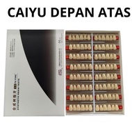 Dental Caiyu Cayu Depan Atas Anterior Atas 1 box Gigi Palsu Anasir