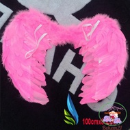 Halloween angel costume