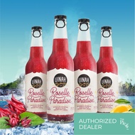 UINAH Roselle Paradise (4 x 330ml) - READY STOCKS Premium Carbonated Healthy Roselle Drink