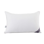 PASAYA ไส้หมอน DOWN LIKE GEL (ขนาด 19x29 นิ้ว)