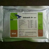 Vitamin introvit 4+ ws