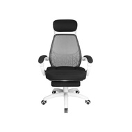 Fennix Ergonomic เก้าอี้ทำงานเพื่อสุขภาพ Fennix Jupiter