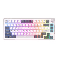 ROYAL KLUDGE WIRELESS KEYBOARD (คีย์บอร์ดไร้สาย) RKH81 (WHITE NIGHT) RK BROWN SWITCH