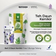 Daun Kenikir Kering Pencegah Kanker Organik Isi 20gram Teh Herbal Obat Kanker BPOM