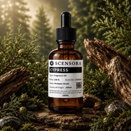Cypress Fragrance Oil | Professional Perfume Grade | For Candles, Soap, Reed Diffuser & Perfume Maki