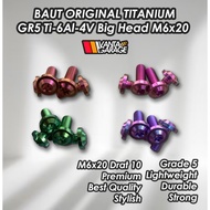 Titanium Probolt Bolt M6x20 GR5 Ti6Al4V BIG Head Thread 10