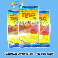 FUNGISIDA ZIFLO 76 WG Bahan Aktif Ziram 76% Pengendali Hama Penyakit Antraknosa Untuk Semua Tanaman