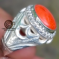 Red Coral Mediterranean (MARJAN)