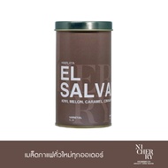 Nicherry เมล็ดกาแฟ EL SALVADOR Himalaya Ahuachapan (Honey) 150 g - Specialty Coffee - Roast for Filt